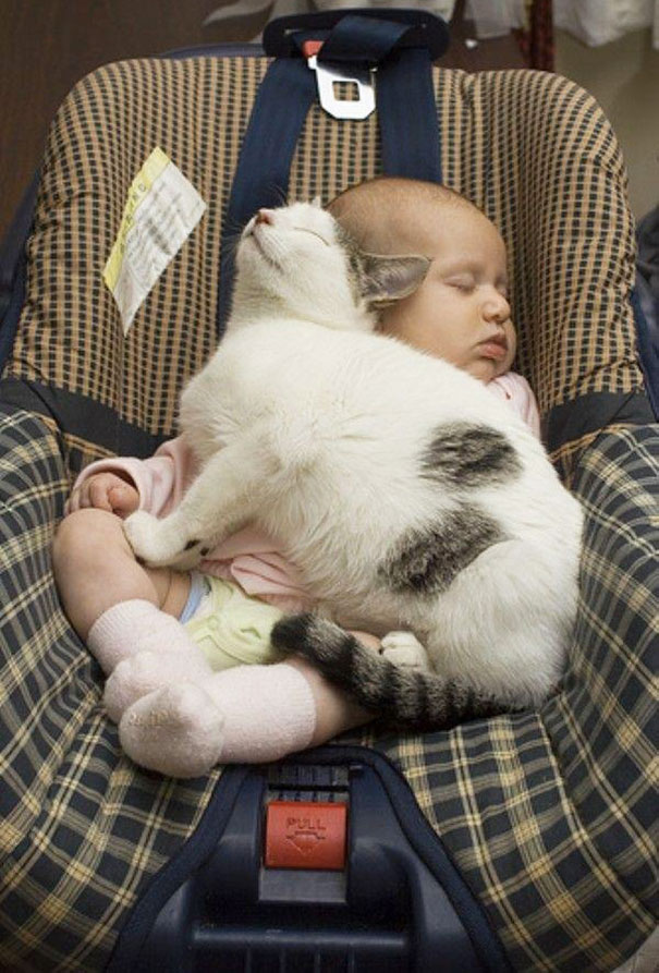 kids-with-cats-24__605